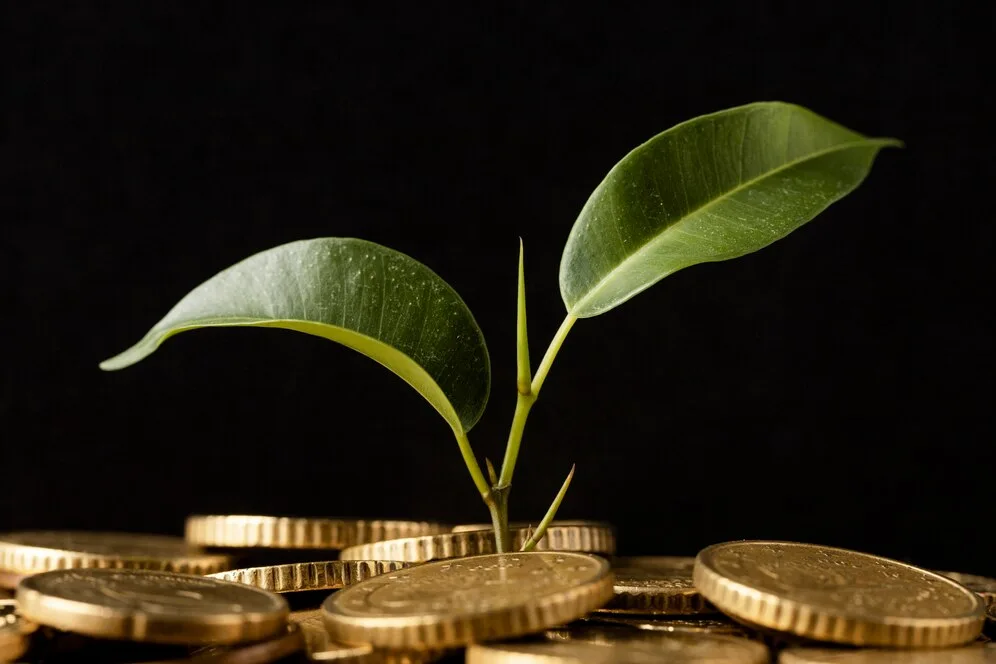 manajemen keuangan untuk investasi